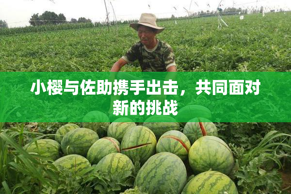 小樱与佐助携手出击，共同面对新的挑战