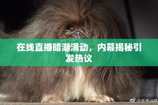 在线直播暗潮涌动，内幕揭秘引发热议