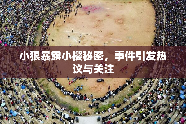 小狼暴露小樱秘密，事件引发热议与关注