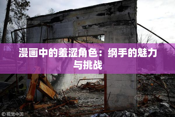 漫画中的羞涩角色：纲手的魅力与挑战