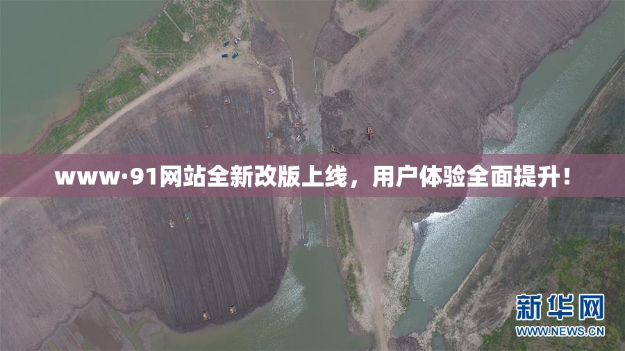 www·91网站全新改版上线，用户体验全面提升！