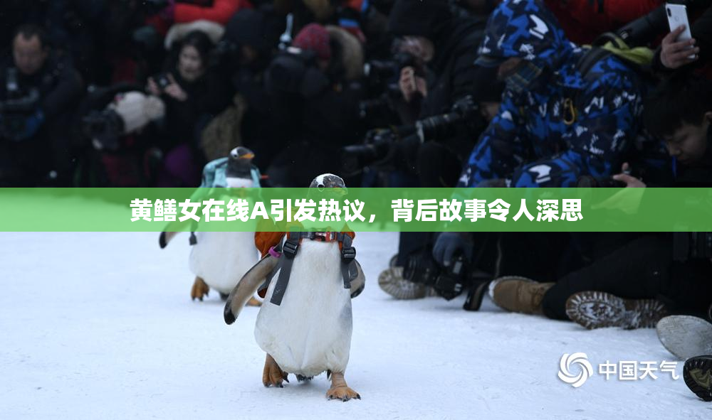 黄鳝女在线A引发热议，背后故事令人深思