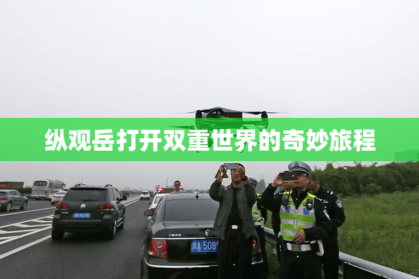 纵观岳打开双重世界的奇妙旅程