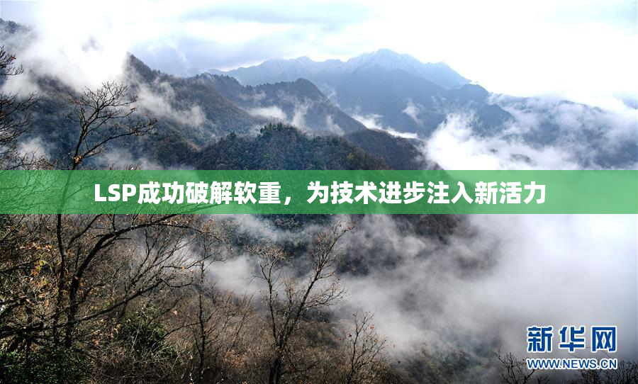 LSP成功破解软重，为技术进步注入新活力
