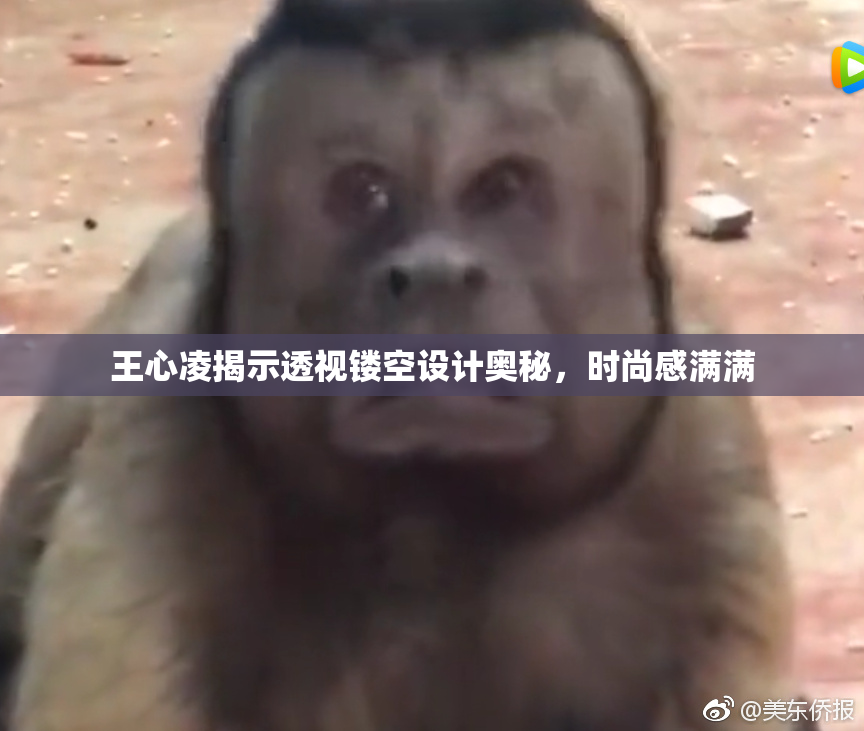 王心凌揭示透视镂空设计奥秘，时尚感满满