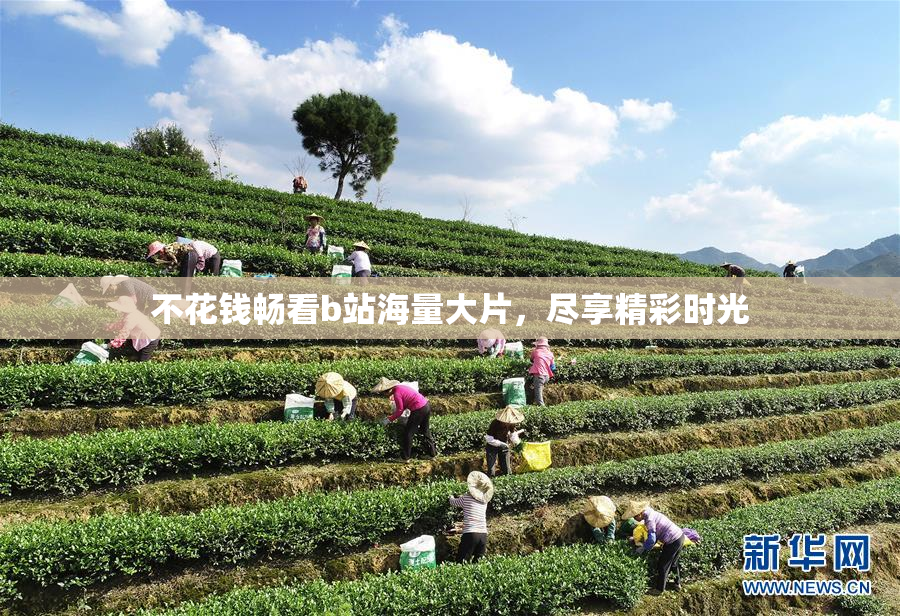 不花钱畅看b站海量大片，尽享精彩时光