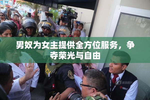 男奴为女主提供全方位服务，争夺荣光与自由