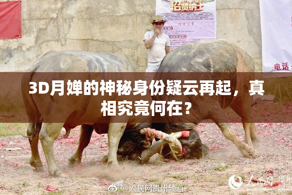 3D月婵的神秘身份疑云再起，真相究竟何在？