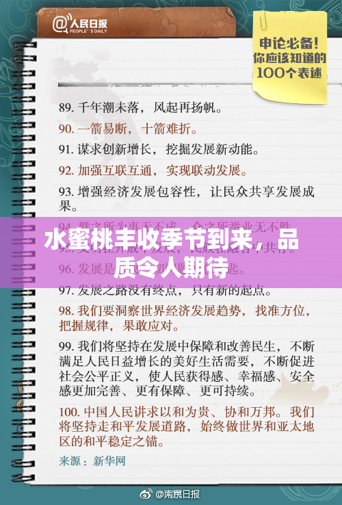水蜜桃丰收季节到来，品质令人期待