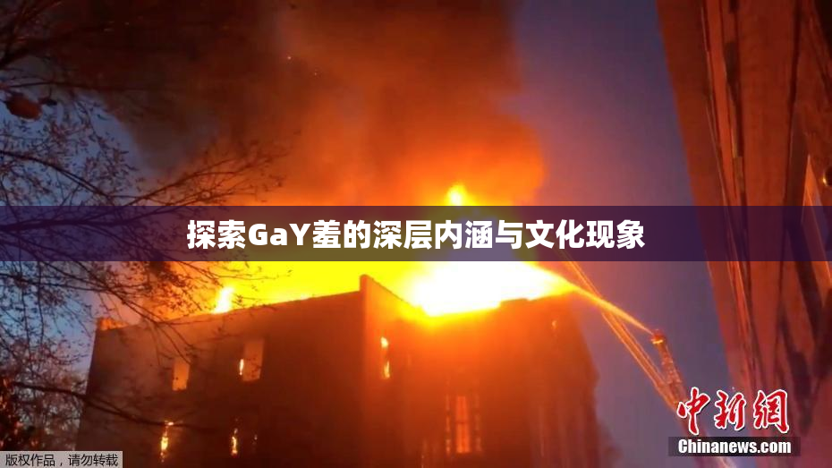 探索GaY羞的深层内涵与文化现象