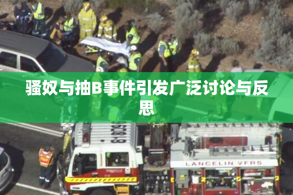 骚奴与抽B事件引发广泛讨论与反思
