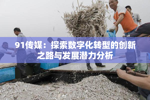 91传媒：探索数字化转型的创新之路与发展潜力分析