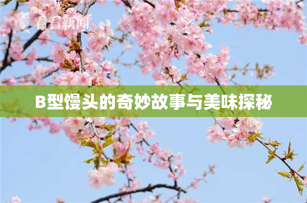 B型馒头的奇妙故事与美味探秘