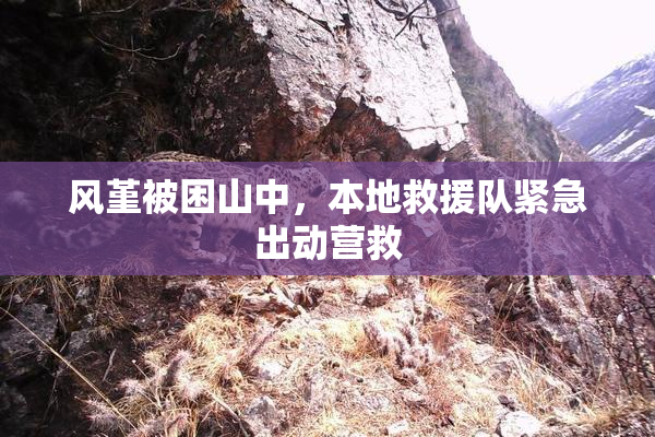 风堇被困山中，本地救援队紧急出动营救