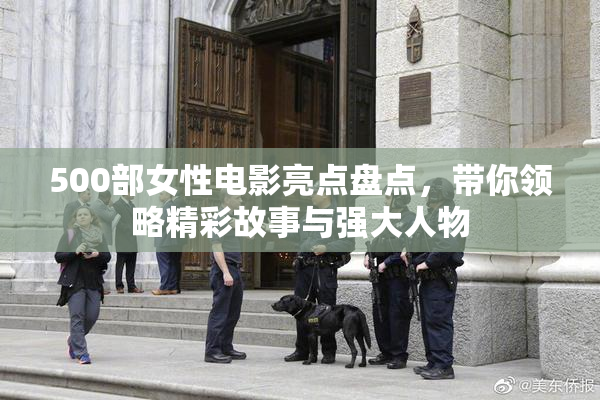 500部女性电影亮点盘点，带你领略精彩故事与强大人物