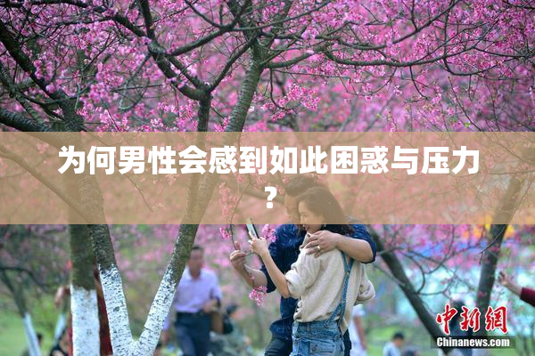 为何男性会感到如此困惑与压力？
