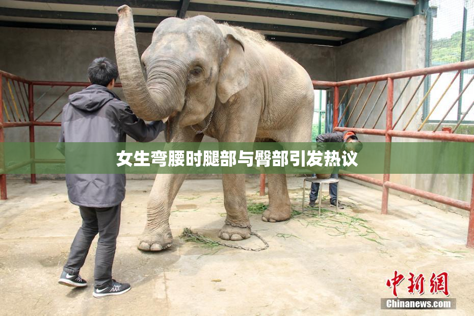 女生弯腰时腿部与臀部引发热议