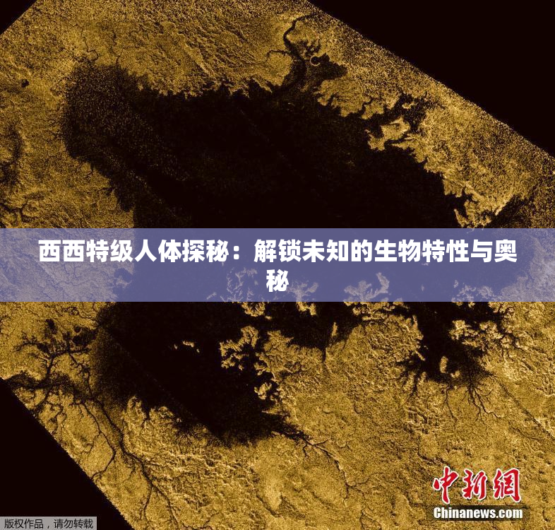 西西特级人体探秘：解锁未知的生物特性与奥秘