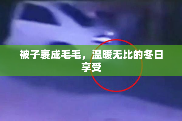 被子裹成毛毛，温暖无比的冬日享受