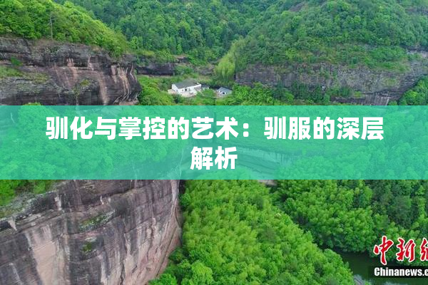驯化与掌控的艺术：驯服的深层解析