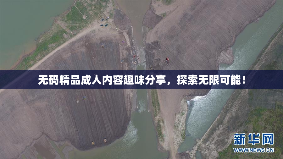 无码精品成人内容趣味分享，探索无限可能！