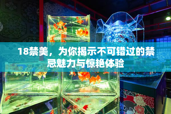 18禁美，为你揭示不可错过的禁忌魅力与惊艳体验