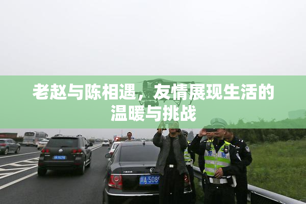 老赵与陈相遇，友情展现生活的温暖与挑战
