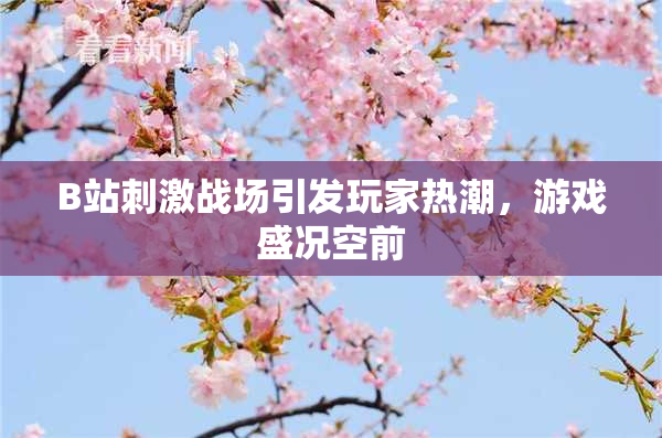 B站刺激战场引发玩家热潮，游戏盛况空前