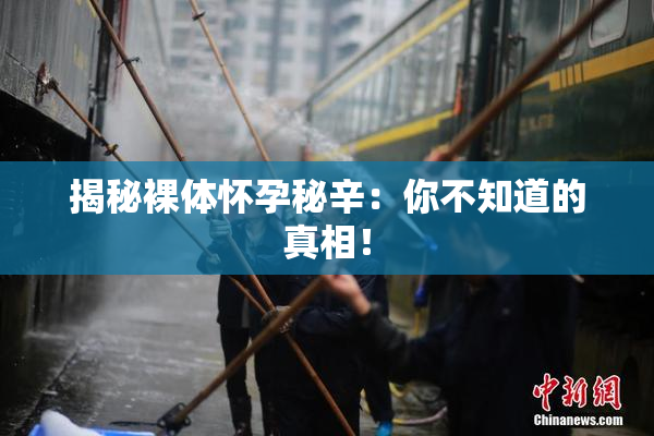 揭秘裸体怀孕秘辛：你不知道的真相！