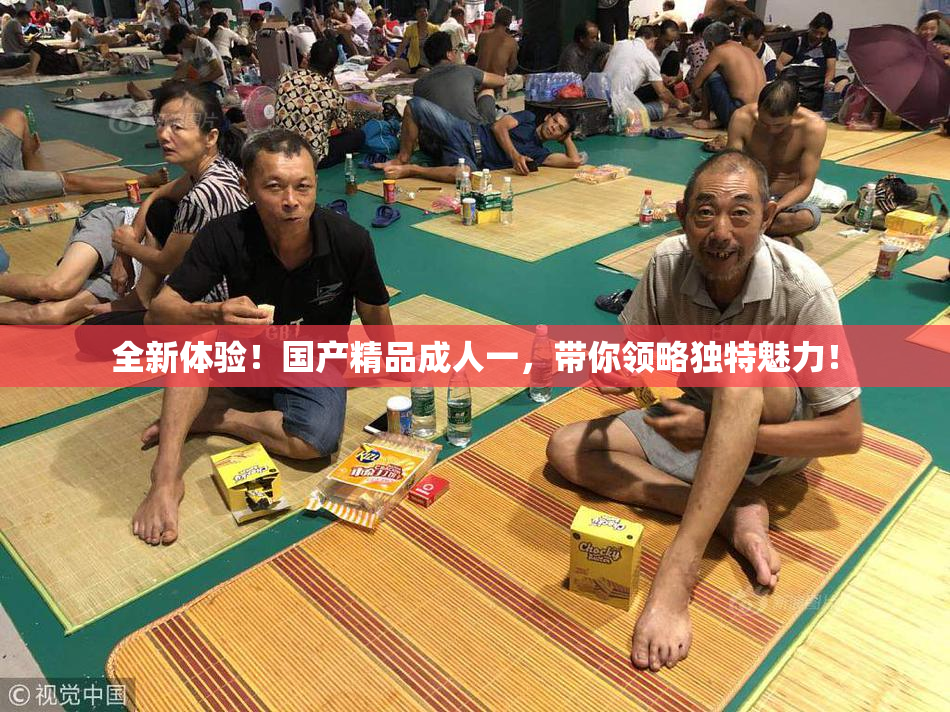 全新体验！国产精品成人一，带你领略独特魅力！