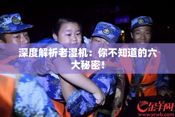 深度解析老湿机：你不知道的六大秘密！