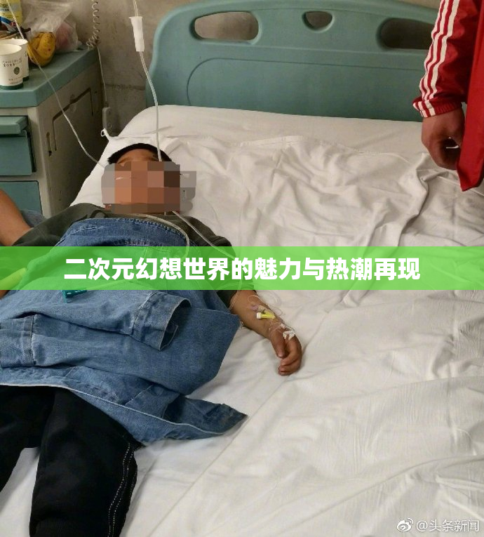 二次元幻想世界的魅力与热潮再现