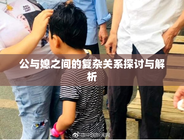 公与媳之间的复杂关系探讨与解析