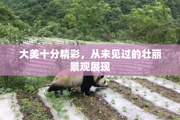 大美十分精彩，从未见过的壮丽景观展现