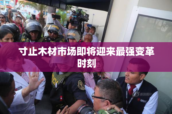 寸止木材市场即将迎来最强变革时刻