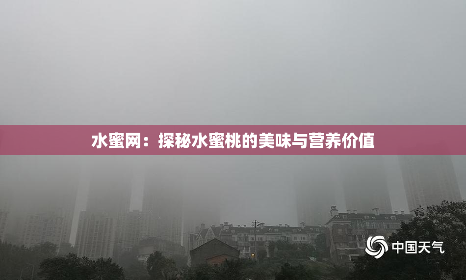 水蜜网：探秘水蜜桃的美味与营养价值