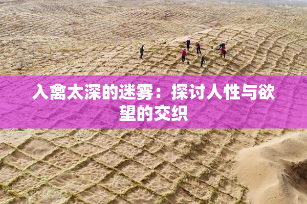 入禽太深的迷雾：探讨人性与欲望的交织