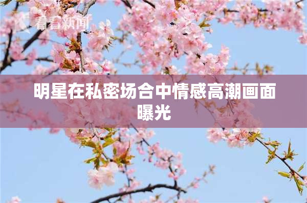 明星在私密场合中情感高潮画面曝光