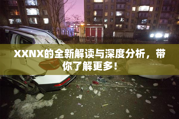 XXNX的全新解读与深度分析，带你了解更多！