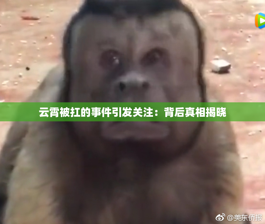 云霄被扛的事件引发关注：背后真相揭晓