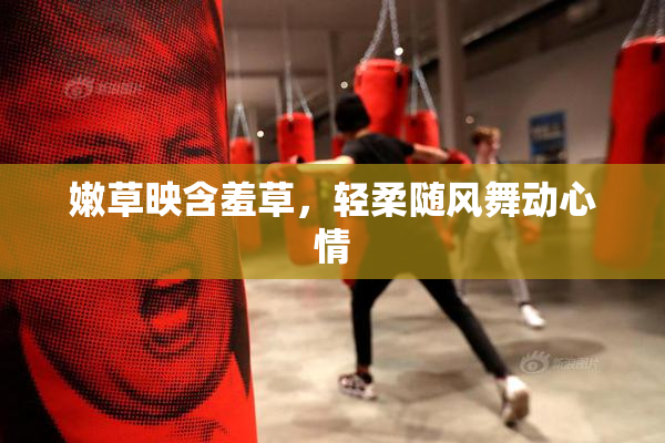 嫩草映含羞草，轻柔随风舞动心情