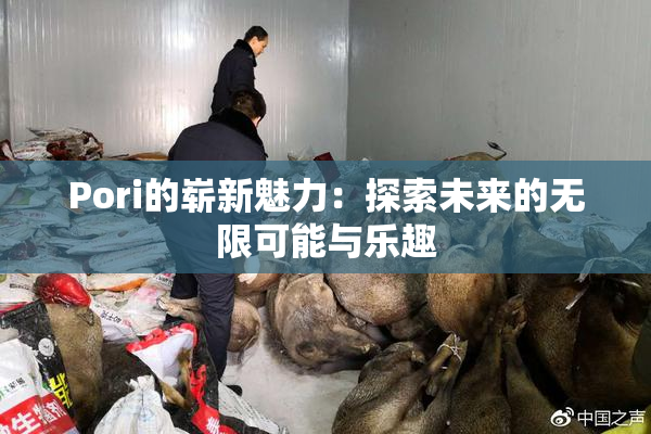 Pori的崭新魅力：探索未来的无限可能与乐趣