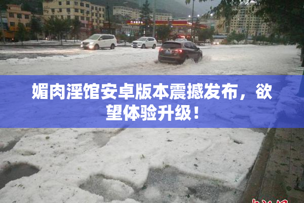 媚肉淫馆安卓版本震撼发布，欲望体验升级！