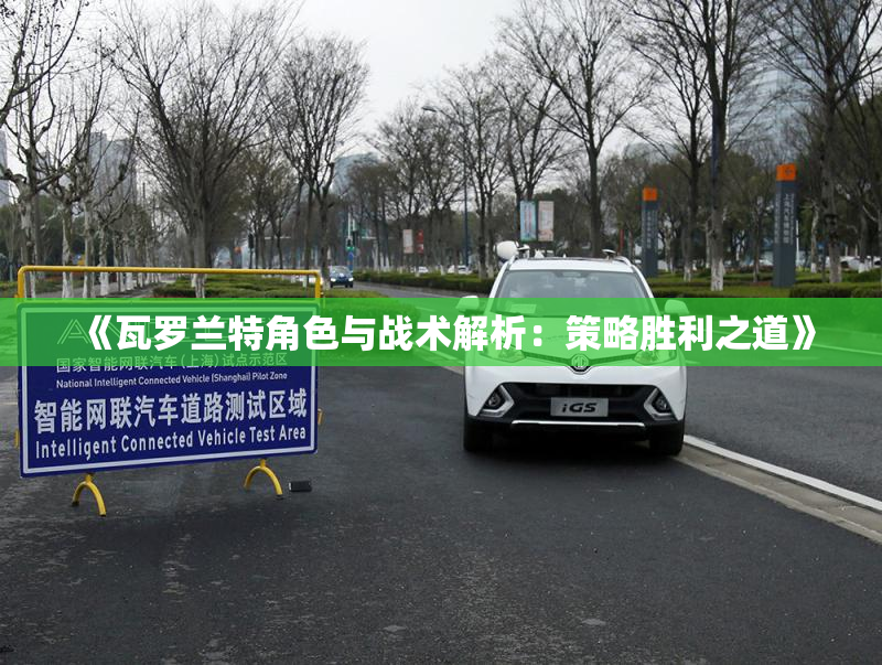 《瓦罗兰特角色与战术解析：策略胜利之道》