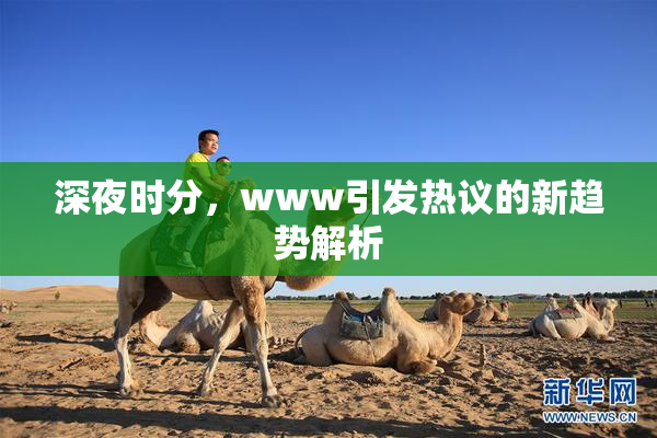 深夜时分，www引发热议的新趋势解析