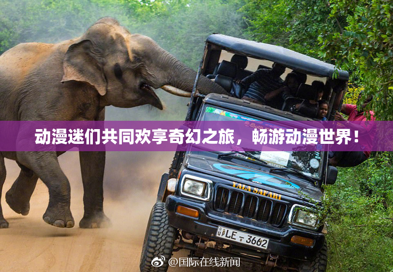 动漫迷们共同欢享奇幻之旅，畅游动漫世界！