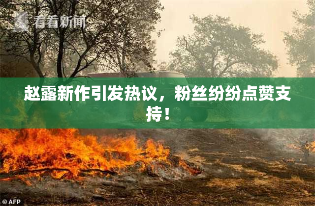 赵露新作引发热议，粉丝纷纷点赞支持！