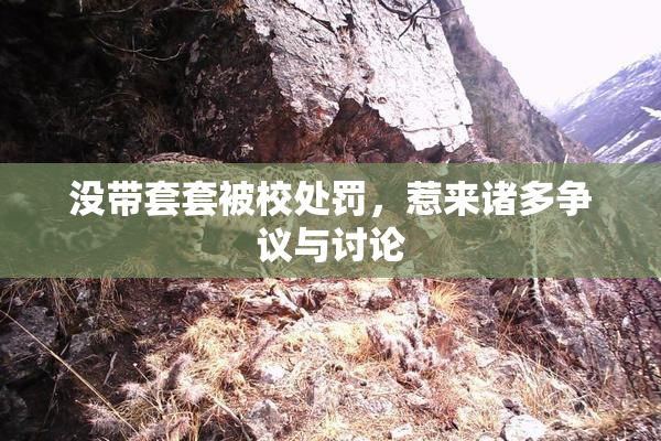 没带套套被校处罚，惹来诸多争议与讨论