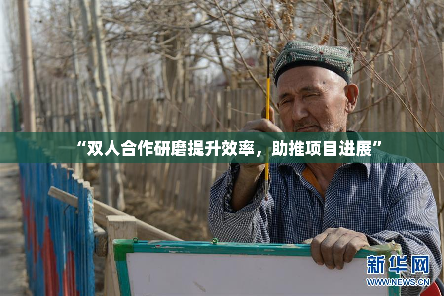 “双人合作研磨提升效率，助推项目进展”