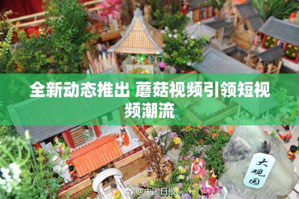 全新动态推出 蘑菇视频引领短视频潮流